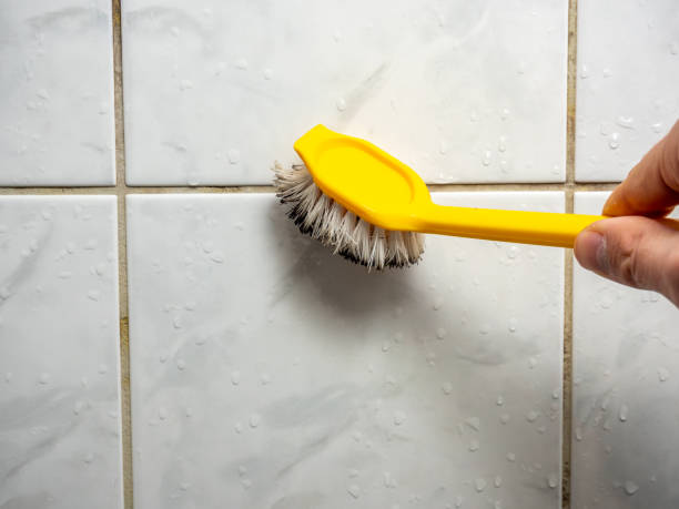 Reliable Bel Air, MD Mold Remediation Solutions