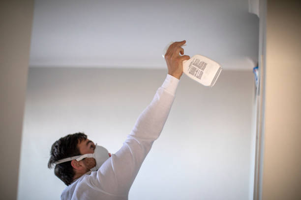 Best DIY Mold Remediation Support Services in Bel Air, MD
