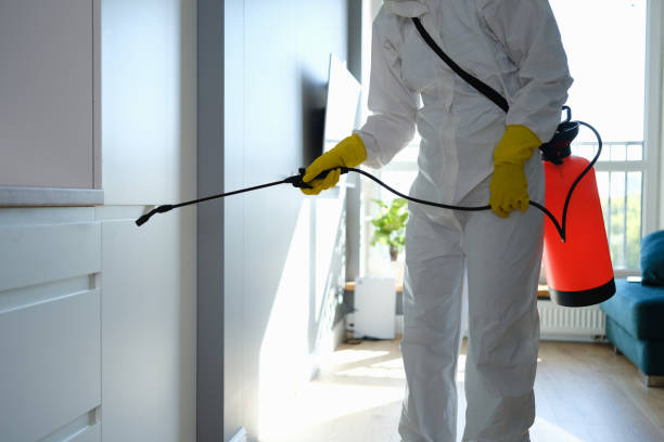Best Residential Mold Remediation in Bel Air, MD