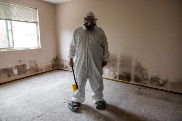 Professional Mold Remediation in Bel Air, MD